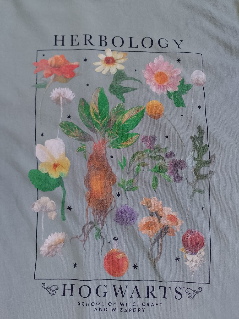 Hogwarts Herbology Graphic Tee - Sage Green
