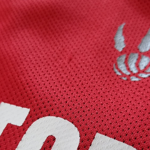 NBA TJ FORD #11 TORONTO RAPTORS BASKETBALL JERSEY