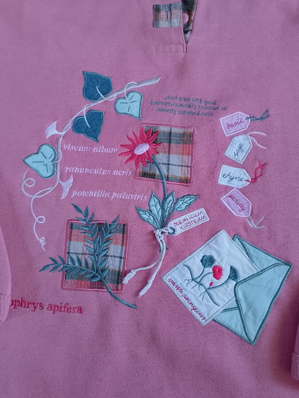 Vintage Pink Collared Vine Graphic Pullover ALICE COLLINS