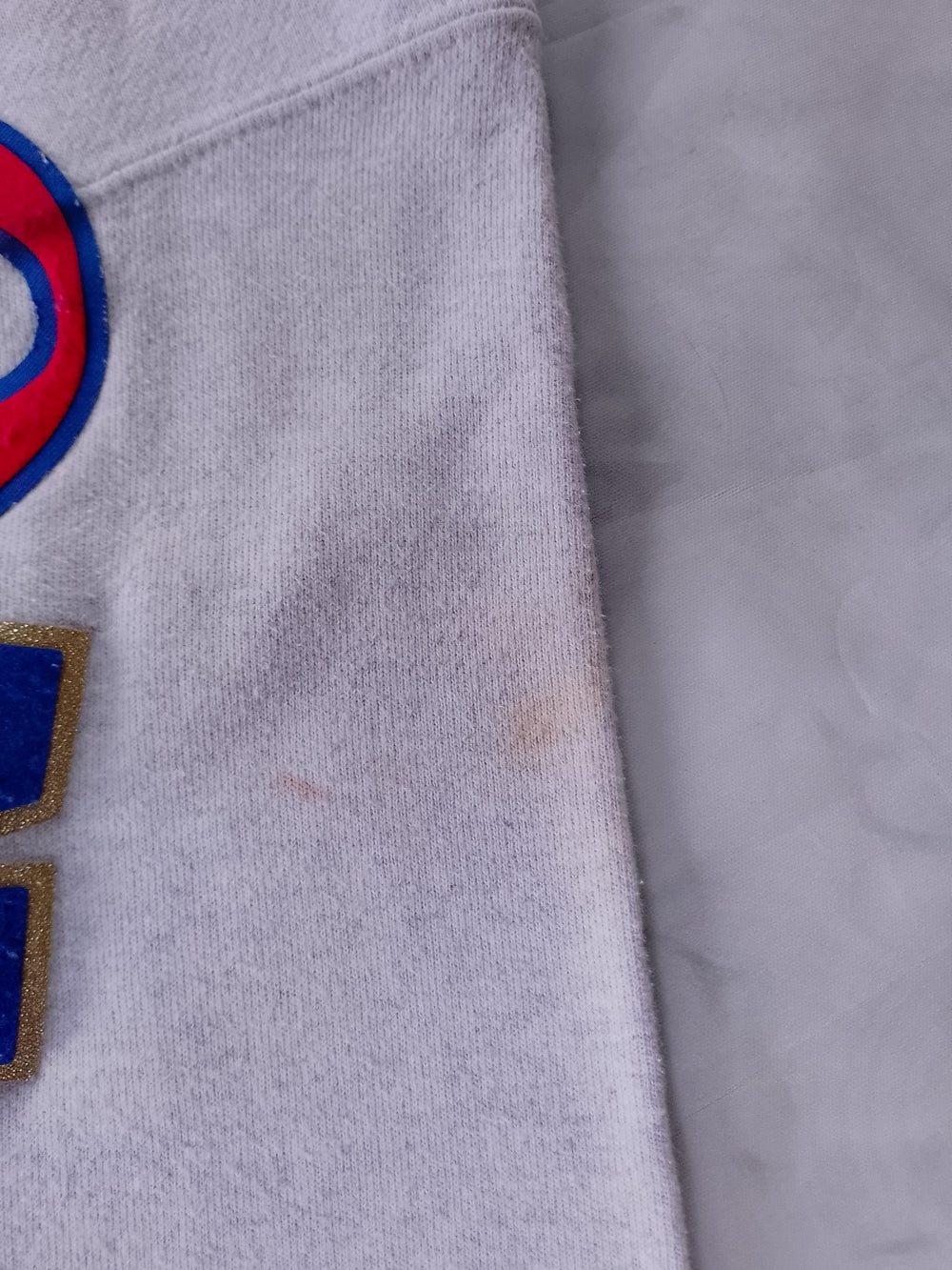 Champion Reverse Weave Pullover Hoodie
