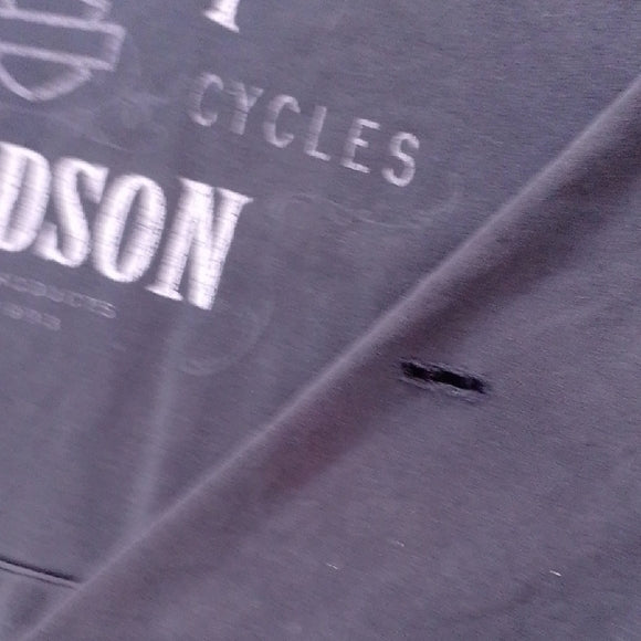 Harley-Davidson Men's Dark Gray Hoodie Distressed