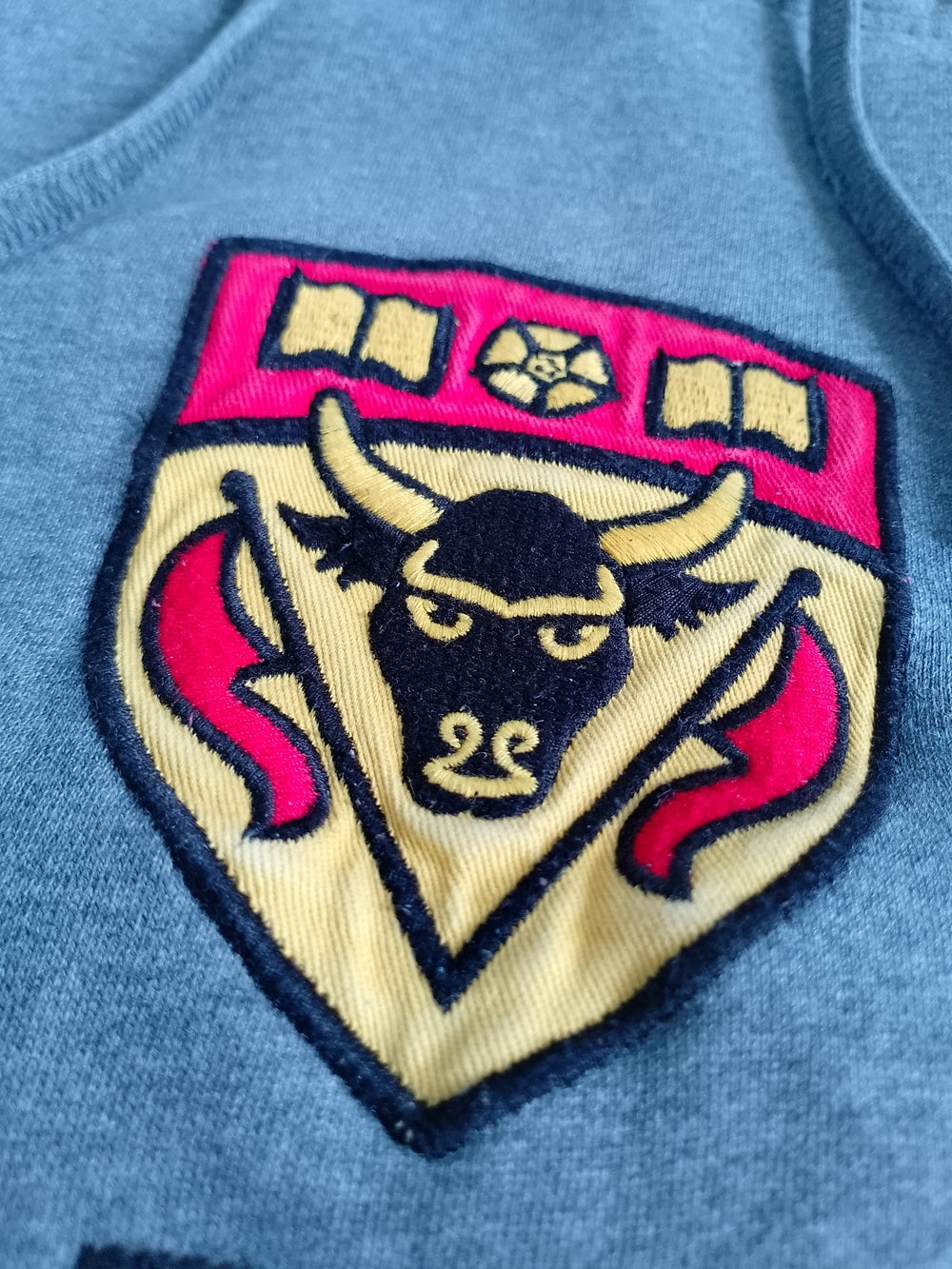 UNIVERSITY OF CALGARY HEALTH SCIENCES Hoodie