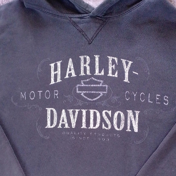 Harley-Davidson Men's Dark Gray Hoodie Distressed