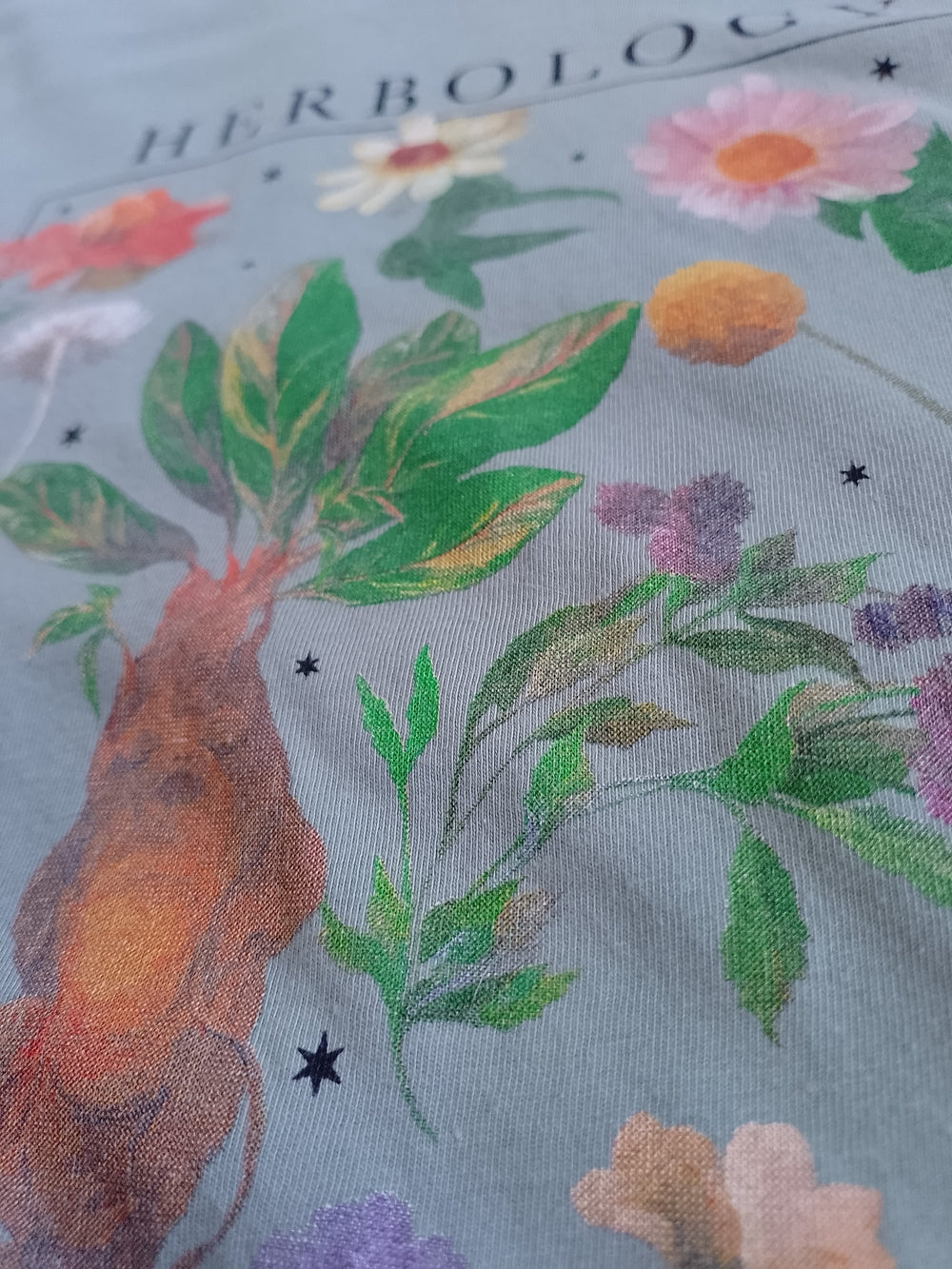 Hogwarts Herbology Graphic Tee - Sage Green