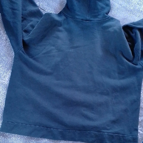 Harley-Davidson Men's Dark Gray Hoodie Distressed