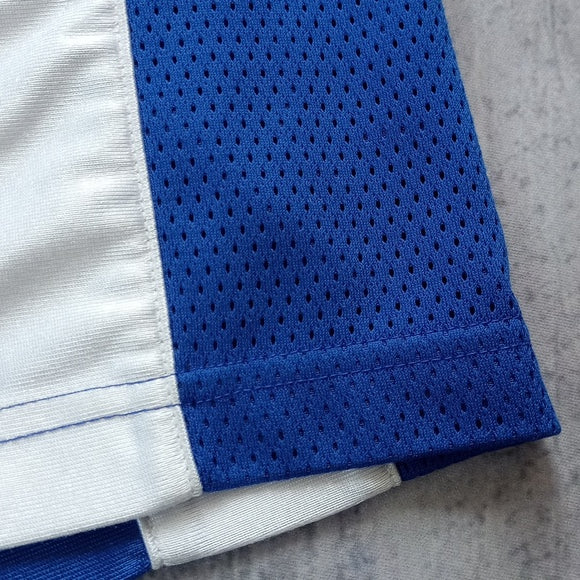 Vintage Y2K 2000s Nike Essential Shorts BLUE/WHITE