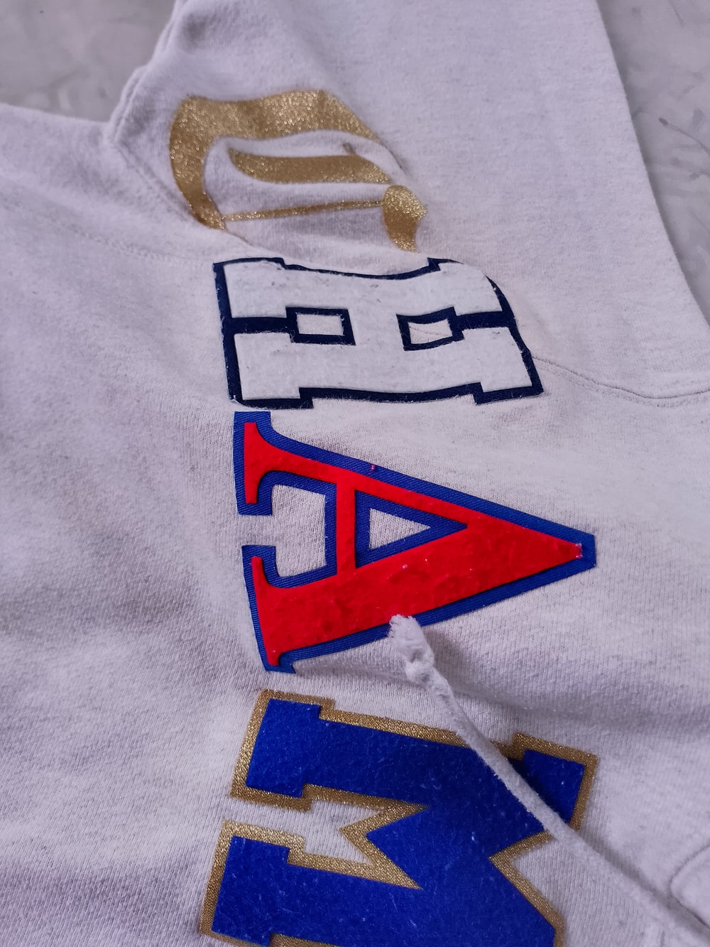 Champion Reverse Weave Pullover Hoodie