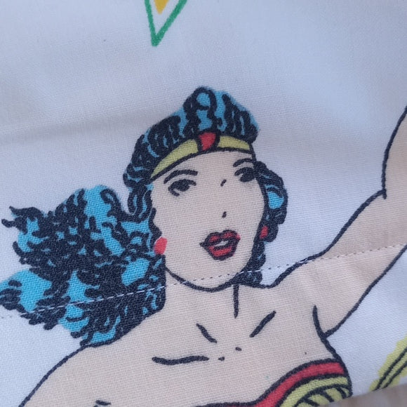 Vintage 1977 Superman The Flash & Wonder Woman Reworked Bennygonia Shorts UNISEX
