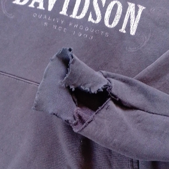 Harley-Davidson Men's Dark Gray Hoodie Distressed
