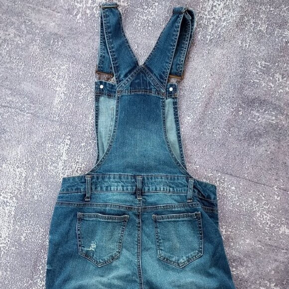 BLUE SPICE Women's Blue Denim Overalls