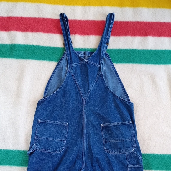 Carhartt Blue Denim Overalls Hammer Loop MENS UNISEX