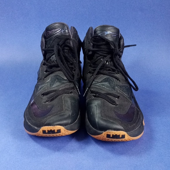 Nike LeBron 13 Black Lion Shoes 807219-001