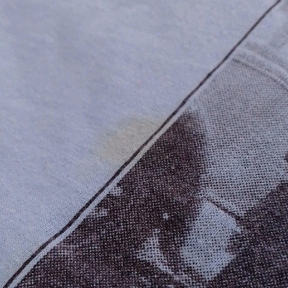 Vintage 1997 Hass Family Reunion T-Shirt – Valley City, ND – Single Stitch