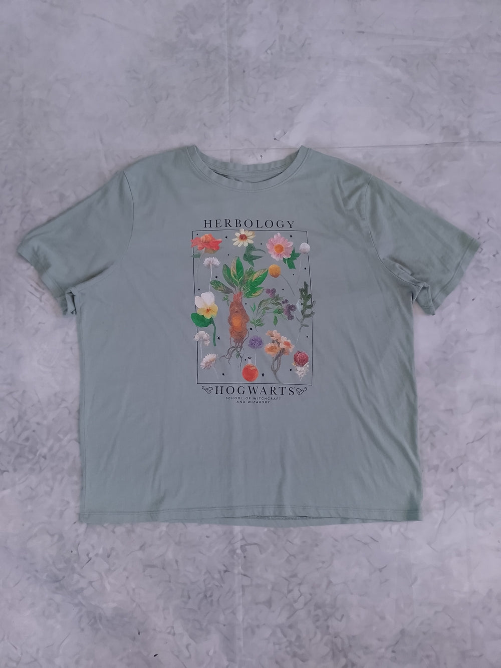 Hogwarts Herbology Graphic Tee - Sage Green