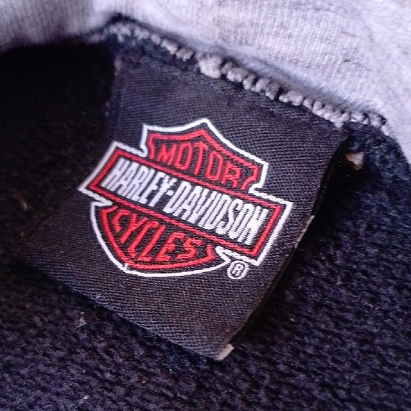 Harley-Davidson Men's Dark Gray Hoodie Distressed