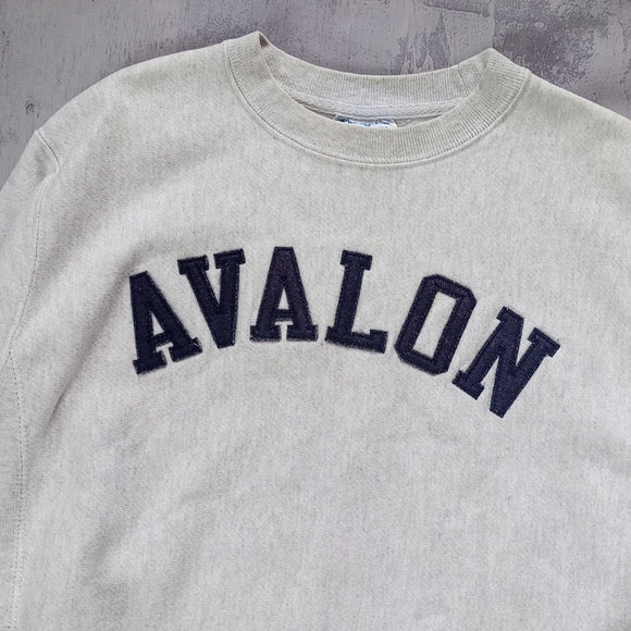 Vintage AVALON Champion Reverse Weave Crewneck Sweater