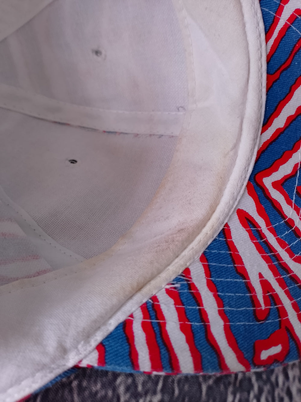 Vintage RED/Blue Zebra Print snap-back Hat
