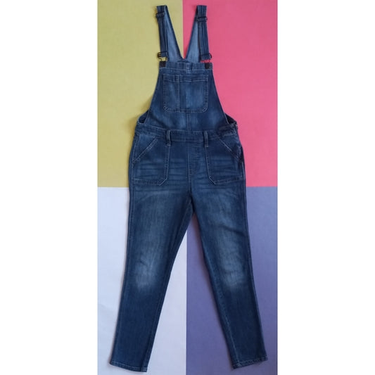 GAP Women's Denim Jean Indigo Overalls